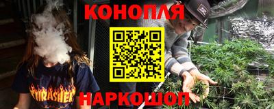 стаф Краснодар