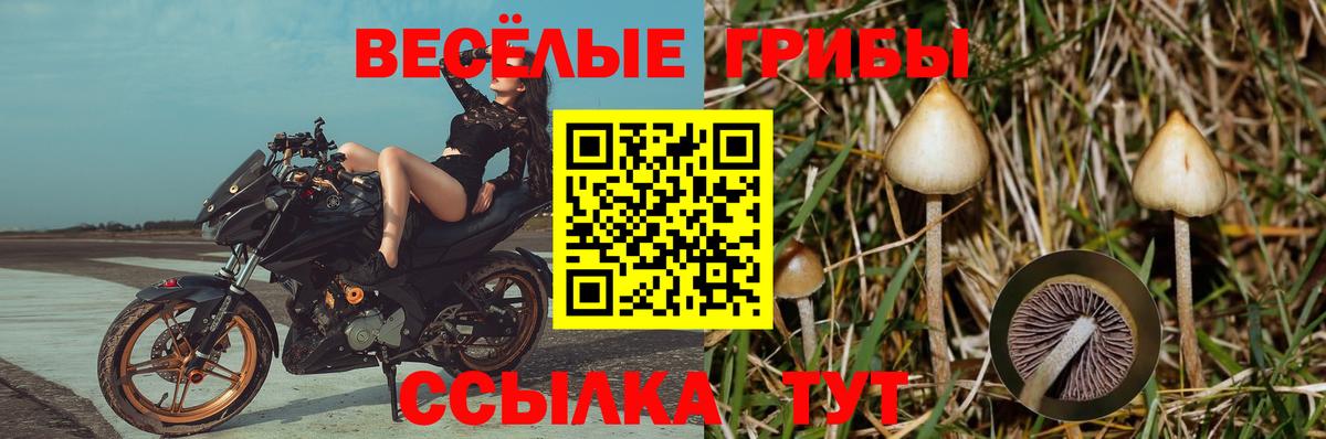 Галлюциногенные грибы Psilocybe  Галлюциногенные грибы ЛСД  Вход с VPN  Изобильный 